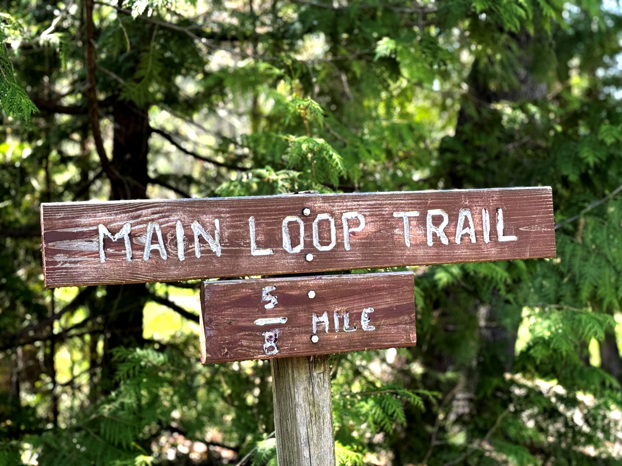 Brown Woods Main Trail Sign